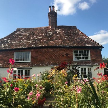 The Studio Wisborough Green Esterno foto